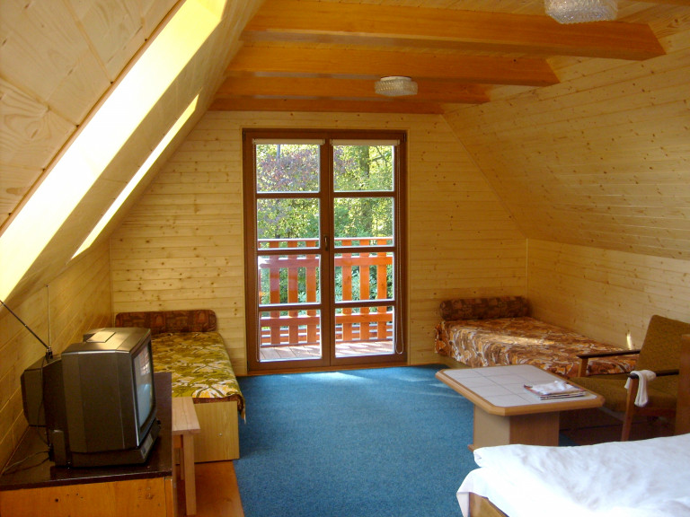 Prostorný pokoj s balkónem