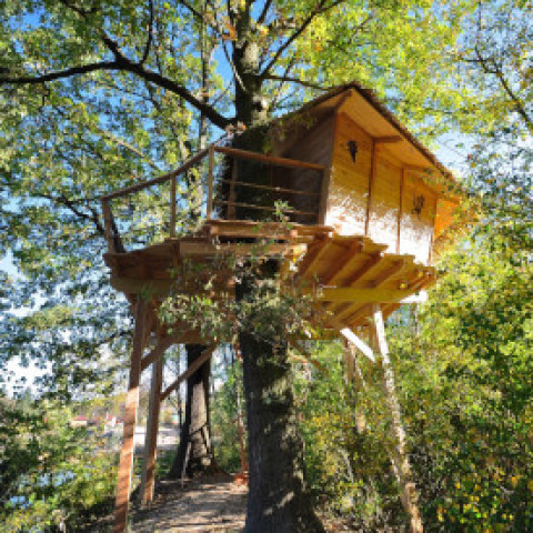 Treehouse